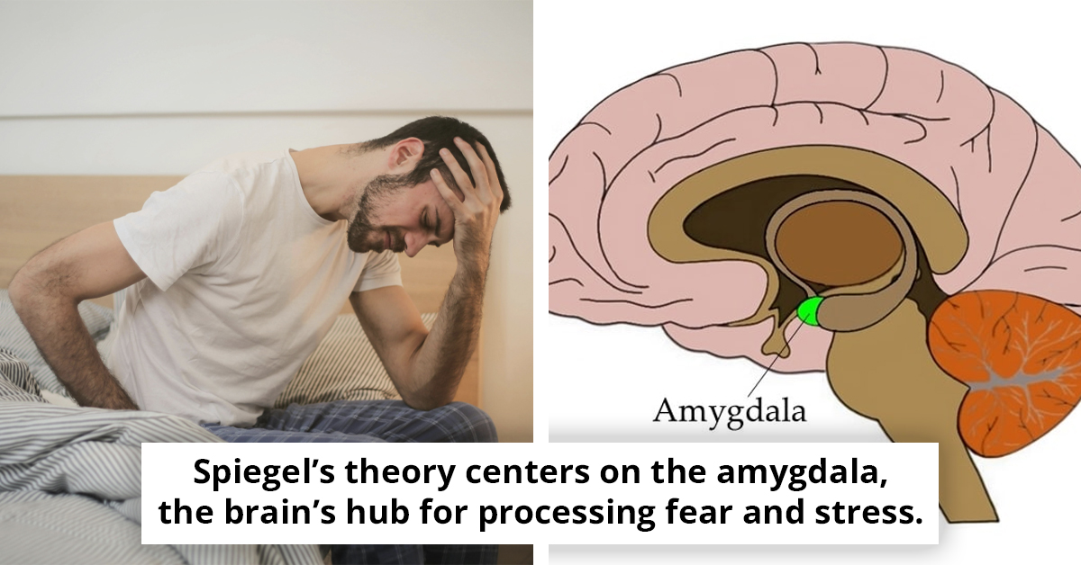 Could IBS Be Linked to 'Gravity Intolerance'? A Gastroenterologist’s Surprising Theory