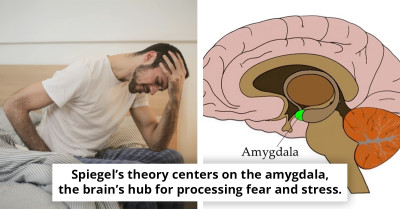 Could IBS Be Linked to 'Gravity Intolerance'? A Gastroenterologist’s Surprising Theory