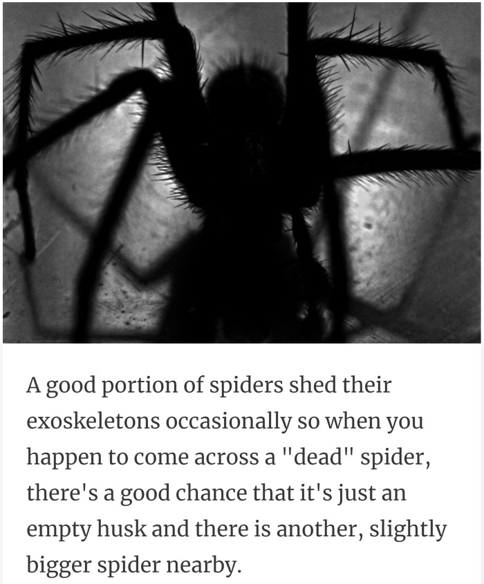 4. Sheds to prepare for more.