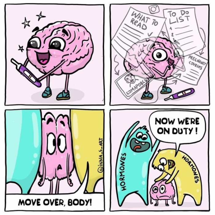 9. Hormones won’t let the brain do what it wants to do