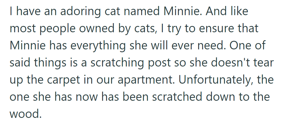 Their cat, Minnie, needs a new scratching post after wearing down the current one to the wood.