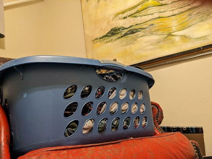 29. It is there, watching you...