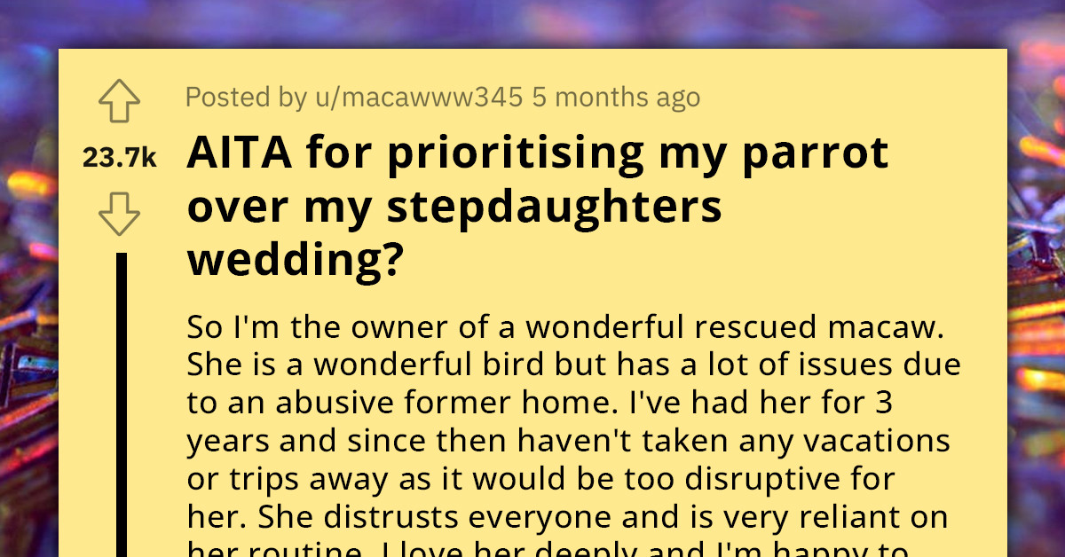 Woman Shuns Her Stepdaughter's Wedding Preparations And Granddaughter Bonding For Quality Time With Her Pet Parrot