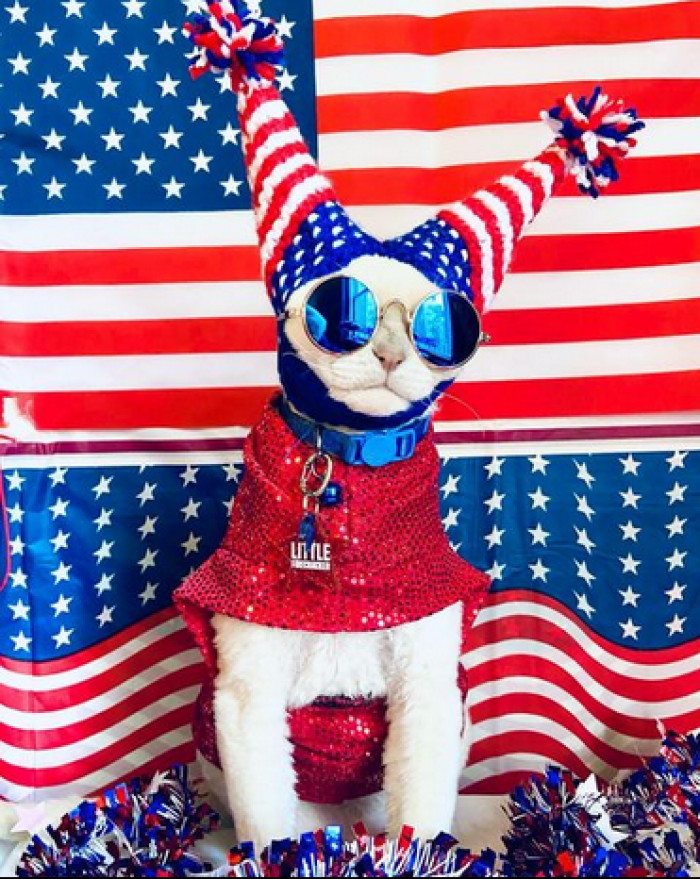 15. Ready to rock and roll with as much patriotic enthusiasm one can possibly muster