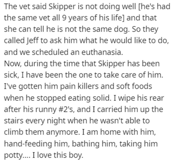 The vet confirmed that Skipper isn't doing well, and they decided to schedule a euthanasia