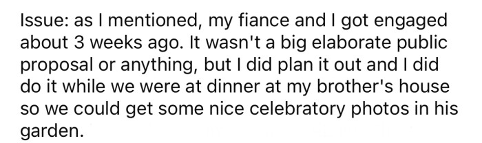 The Redditor says he and his partner got engaged while they were having dinner at his brother's house.