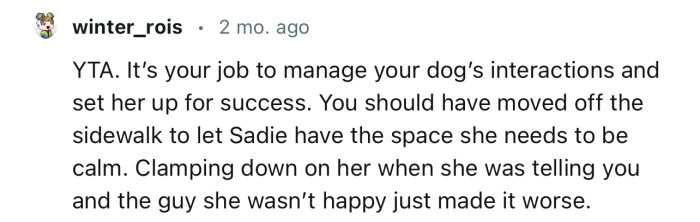 “YTA. It’s your job to manage your dog’s interactions and set her up for success.”