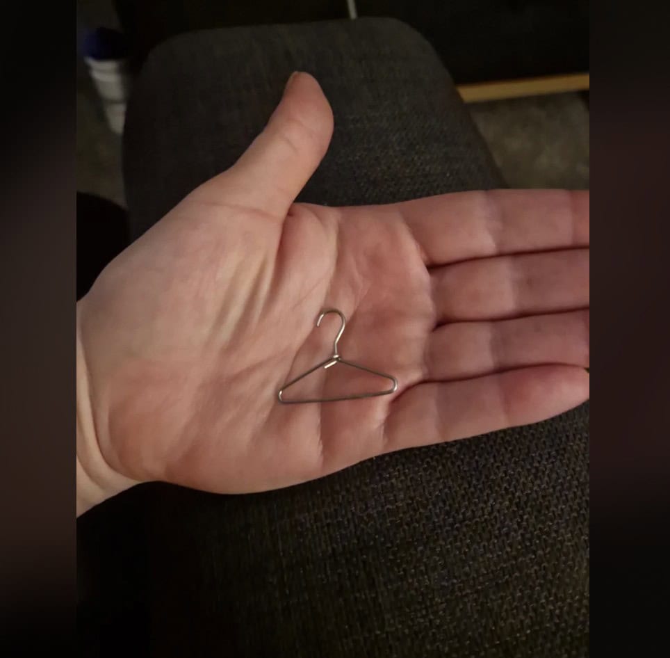 21. “What is this, a coat hanger for ants?”