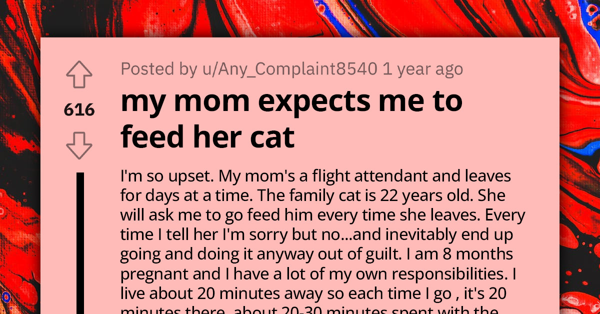Soon-To-Be Mother Faces Difficulties Caring For Mom's Elderly Cat, Mom Insists Despite The Inconvenience