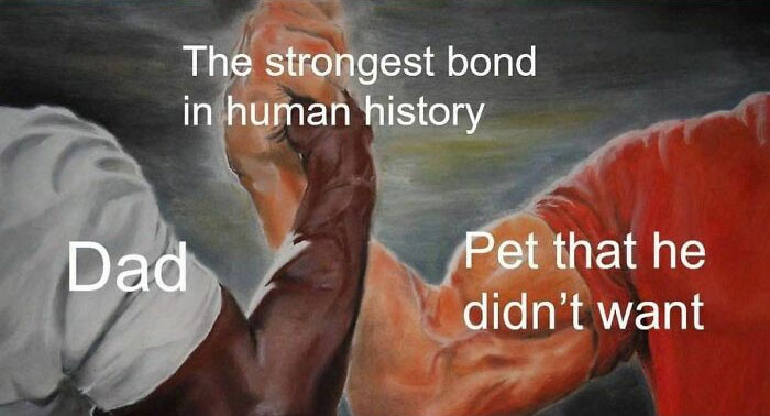 21. The strongest bond