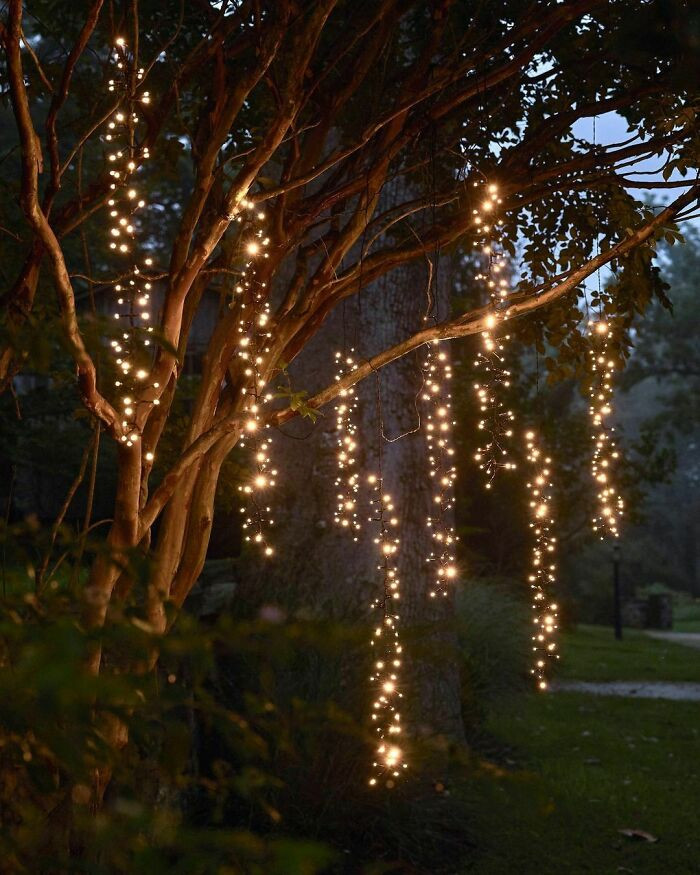 Budget-friendly outdoor lights to decorate trees.