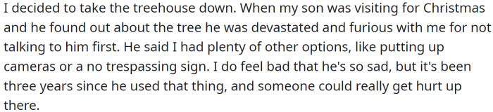 OP decided to take the treehouse down without consulting his son, who was visiting for Christmas, and was devastated and angry with him for not talking to him first.