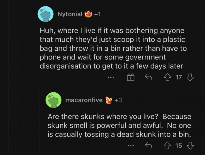 Skunks have a strong smell and have to be disposed of properly.