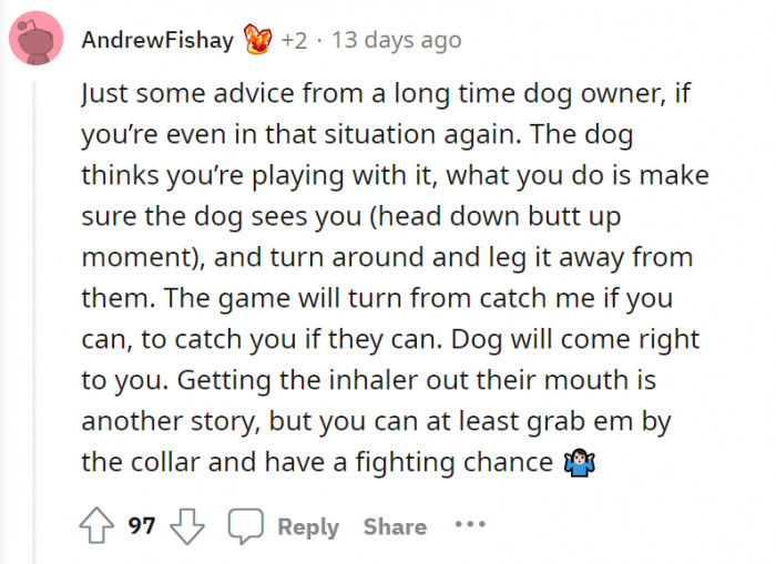 Dog handbook for noobs—here is how you do it. This can be intimidating for non-dog owners, but this is just a bit of advice.