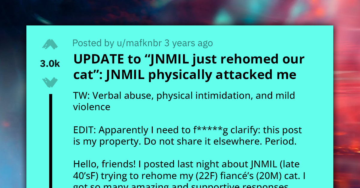 Redditor Goes With Her Fiancé To MIL's House To Save A Cat, Ends Up Calling The Police To Save Herself