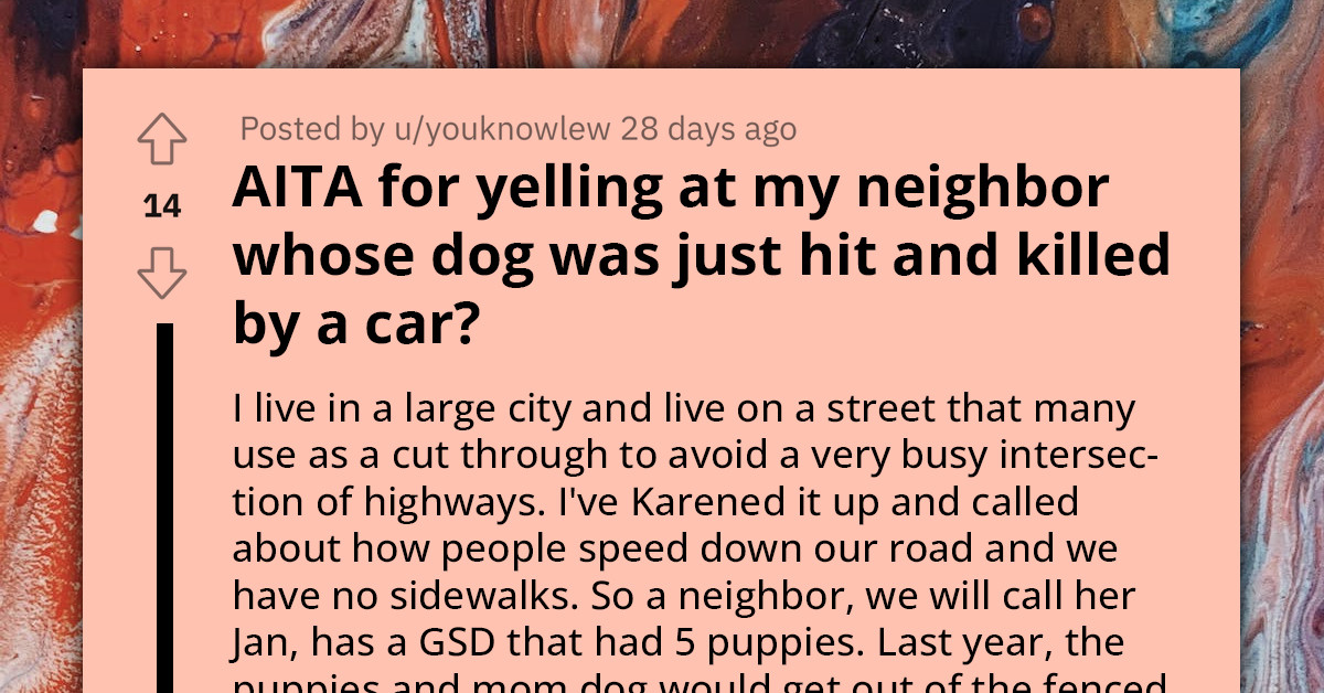 Redditor Asks If They Were Wrong For Yelling At Their Neighbor Whose Dog Was Just Killed By A Car