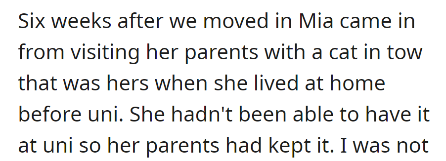Six weeks in, Mia brought back her childhood cat from her parents' place, where it stayed during her university years.