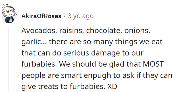 From avocados to chocolate, our snacks are the furball's kryptonite. Luckily, most ask before treating pets—here's to responsible snack queries!