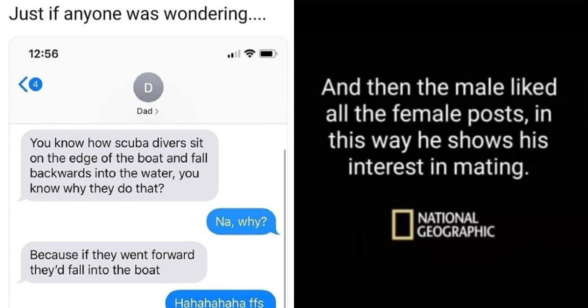 50 Hilarious Memes That Will Also Teach You A Thing Or Two