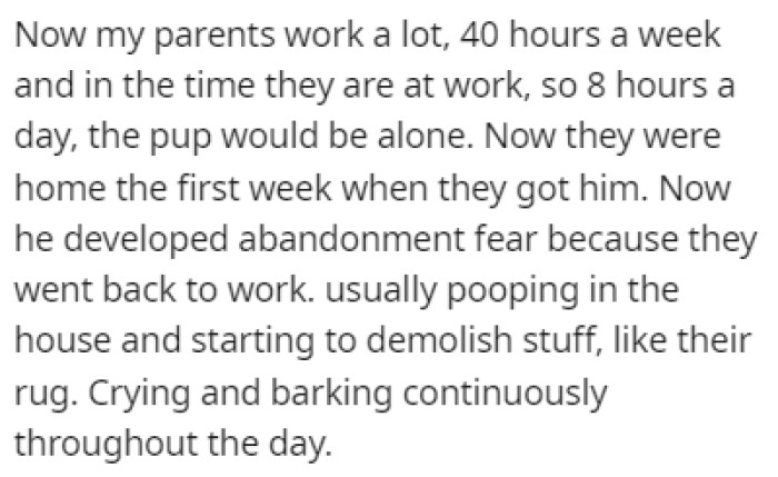 That was during a different time, and now OP's parents work a lot, leaving the puppy alone