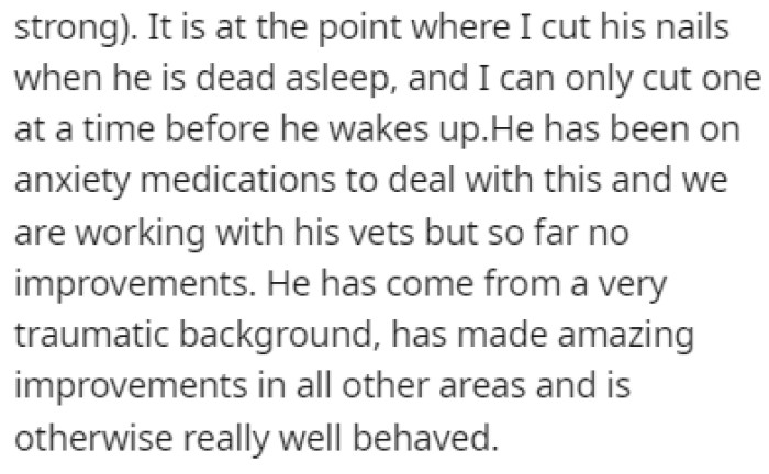 OP's dog hates when people try to touch his paws, so getting rid of the gum isn't possible without anesthesia