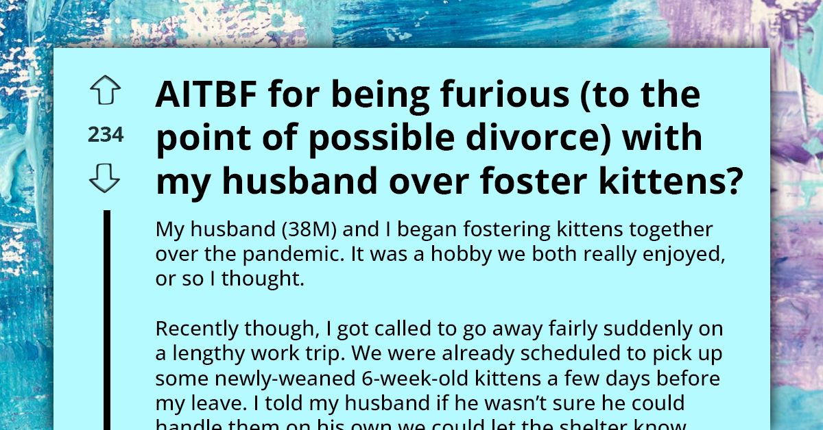 Woman Contemplates Divorce After Husband Breaks Pledge to Care for Adopted Kittens and ‘Callously’ Dumps Them at Shelter Days Later