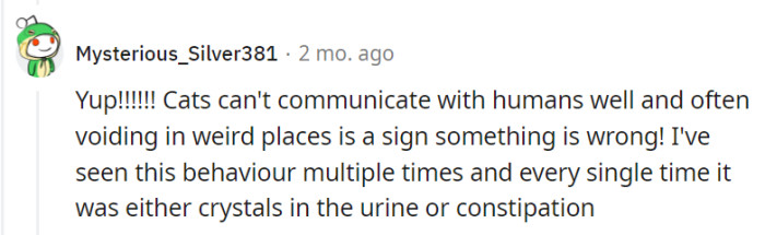 Cats have their unique ways of communicating, and when they start voiding in odd places, it's often a clear signal that something is off.