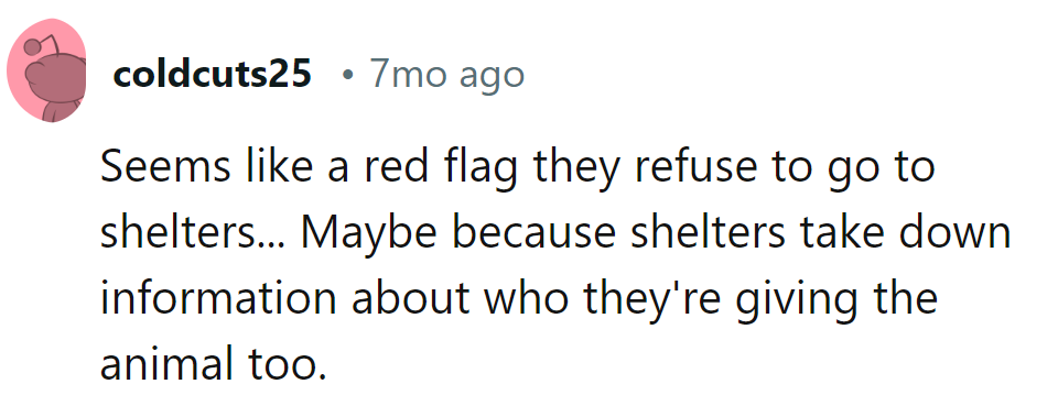 Sounds like they prefer mystery kittens over shelter stories—less paperwork, more paw-ssibilities.