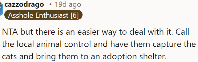 A more straightforward solution for OP is to contact animal control to capture the cats and take them to a shelter.