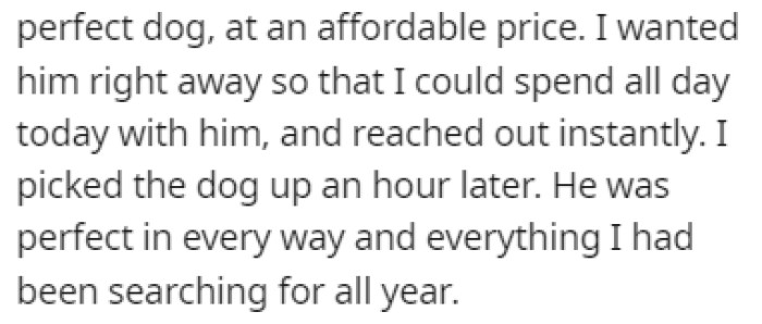OP couldn't handle the feeling of a home without dogs, so she immediately adopted the dog she found