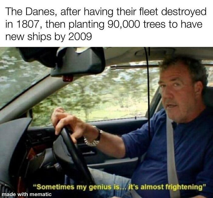 11. Planting a whole forest as a long-term ship factory is a wild commitment and honestly kind of brilliant