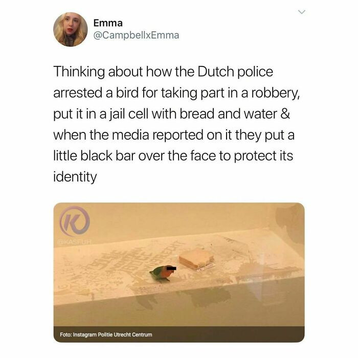 15. Identity Protection Is a Must: