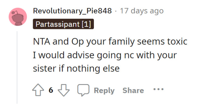 OP’s Sister Should Know Better. She’s Acting a Bit… Immature.