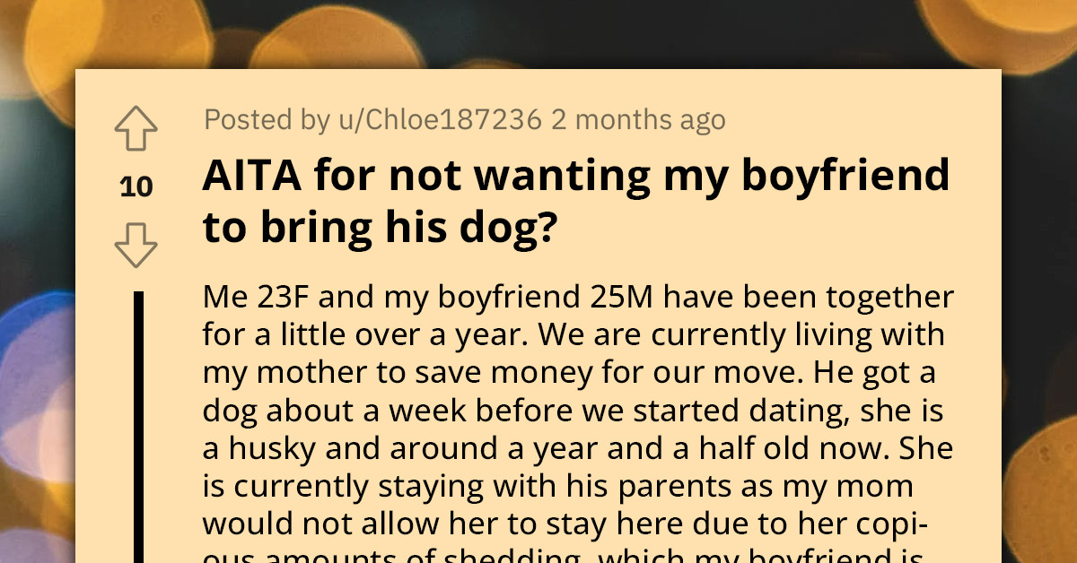 Woman Gives Ultimatum To Boyfriend Before Moving In Together - Choose Between Her And His Untrained Dog