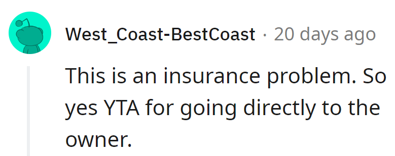 Insurance maze? Yup, going straight to the owner earns a definite YTA.