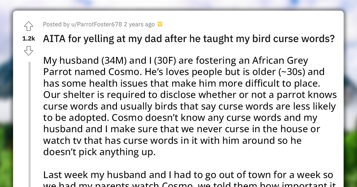 Redditor Yells At Dad After He Taught Her Pet Bird To Say Curse Words, Asks Internet If She Was An A-Hole For Doing So