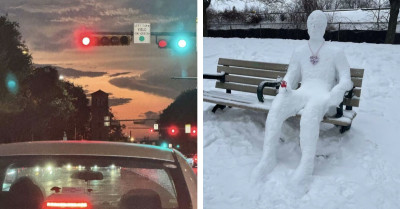 Unplanned Moments People Just Happened to Capture