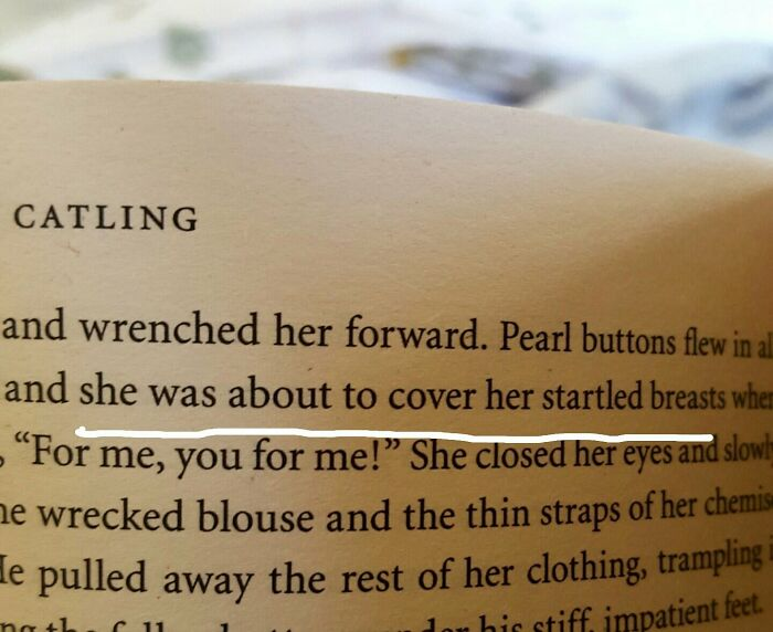 11. How startled were they?