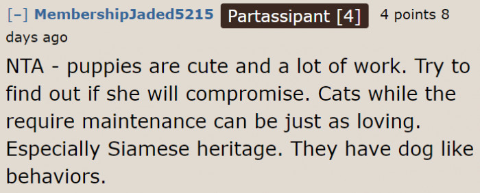 This Redditor suggests getting a dog-like cat.