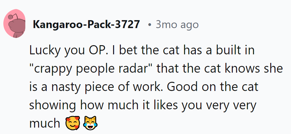 Looks like the cat's 