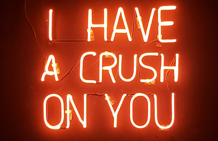 16. Pursuing a senior crush as a freshman is a rite of passage. Complete with two weeks of social purgatory.