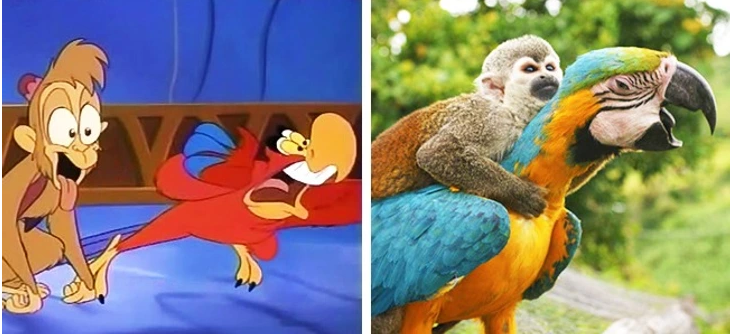 2. Abu and Iago - Aladdin