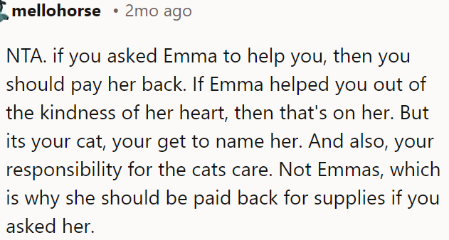 The cat's naming and care are OP's responsibilities.