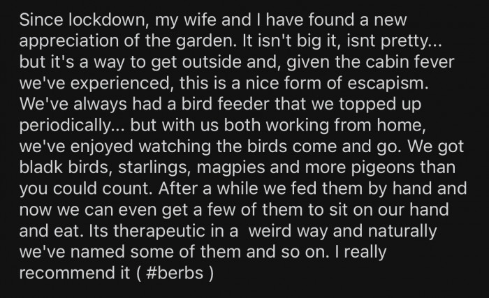 OP and his wife have been enjoying watching the birds come and go to the bird feeder.