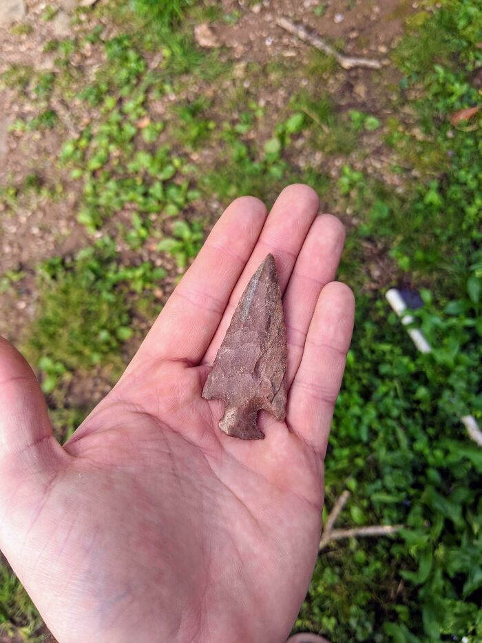 3. Found In My Backyard In East Nashville, Tn