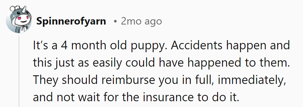 Even puppies know that accidents aren't about who's right, but who's paying for the batteries!