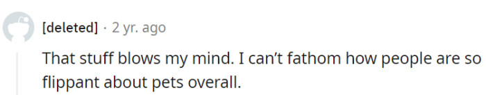 Observing from the sidelines, it's a mystery how people treat pets like passing fads instead of lifelong friends. Pets aren't accessories; they're timeless classics!