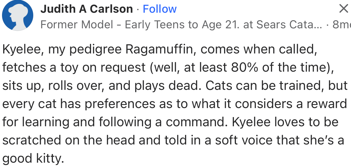 “Cats can be trained, but every cat has preferences as to what it considers a reward for learning and following a command.”