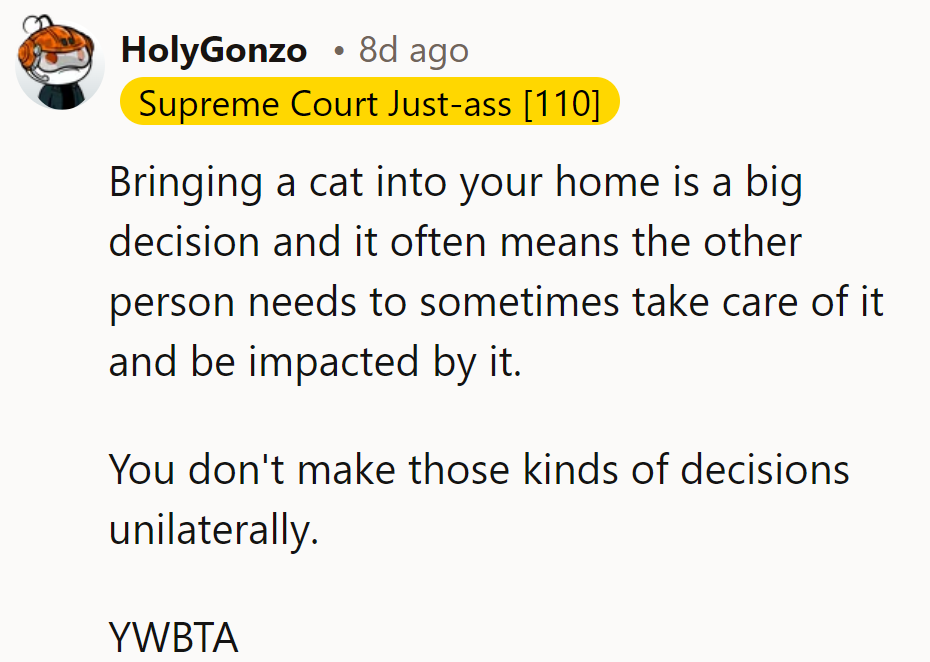 Cat's out of the bag: decisions are a team effort, not a solo meow!