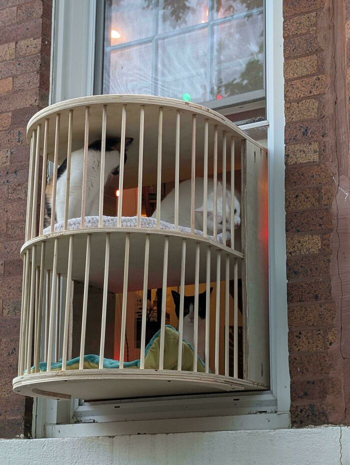 "First Project: Window Box For The Cats"